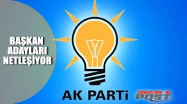 ak-parti-mevcutlarla-devam-edebilir